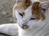 Foto 046